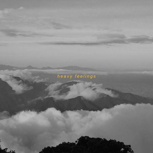 Song Cover
